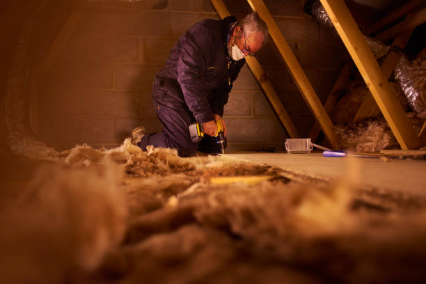 Best Insulation Maintenance and Repair in Runaway Bay, TX